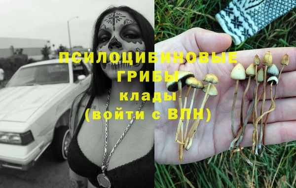a pvp Алзамай