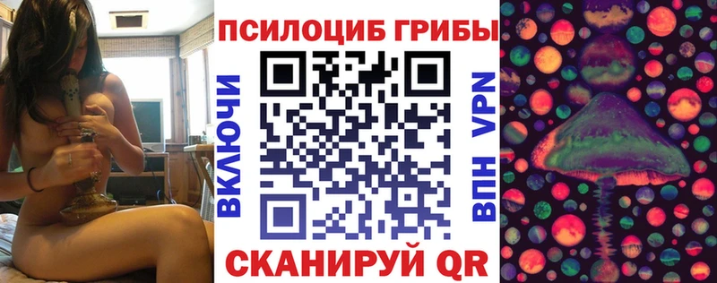omg сайт  Егорьевск  Псилоцибиновые грибы MAGIC MUSHROOMS  магазин   